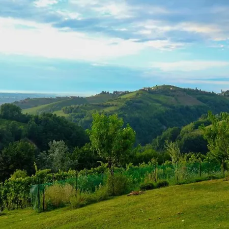 With Large Covered Terrace In Small With Swimming Pool * Bastia Mondovì