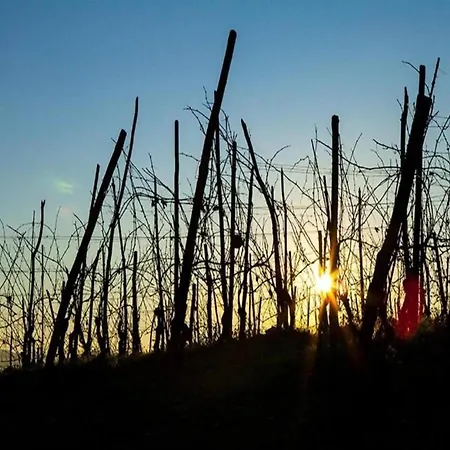 With Large Covered Terrace, In Small With Swimming Pool